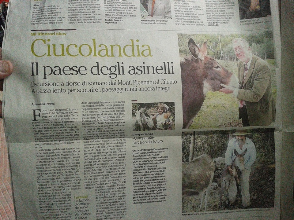 #ciucciopolitana e #cumpareteinmovimento…..dicono di noi sul mattino di oggi
